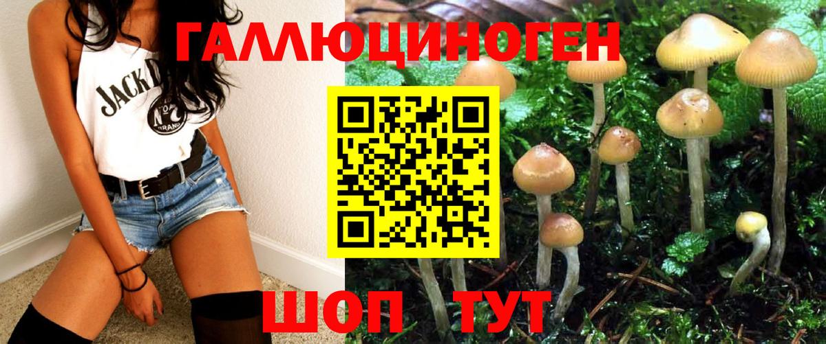 Псилоцибиновые грибы GOLDEN TEACHER Ростов-на-Дону