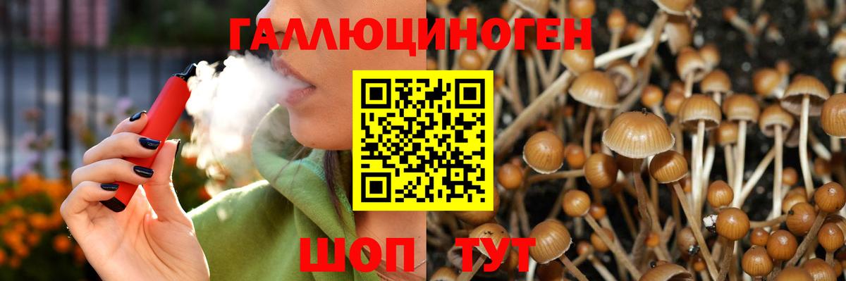 Псилоцибиновые грибы мухоморы  Псилоцибиновые грибы Magic Shrooms  Вход с VPN  Ростов-на-Дону 